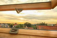 rated Asby roof window companies